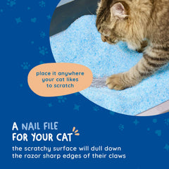 KITTY CURE: lima para garras resistente a olores, ideal para cajas de arena.