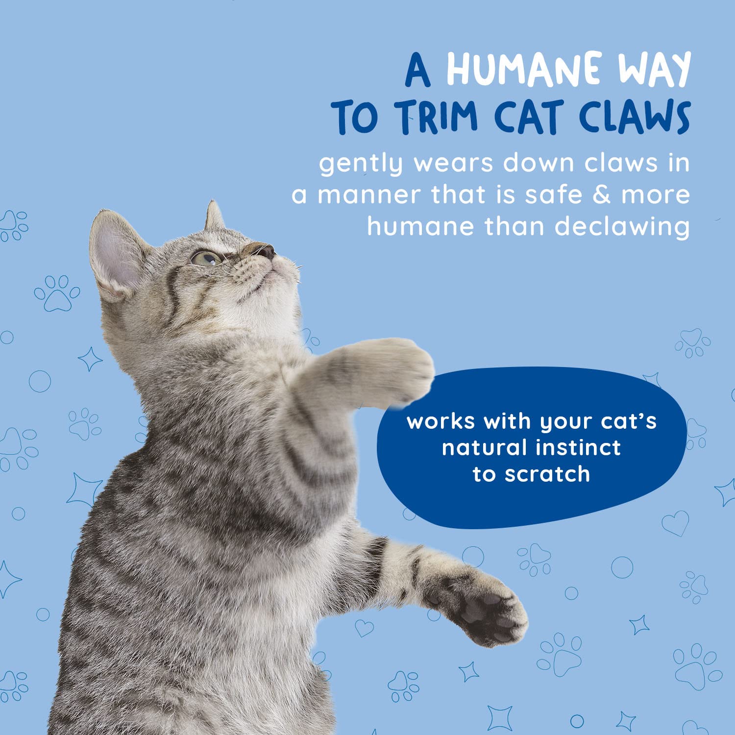 KITTY CURE: solución de limado para gatos, uso diario cómodo.