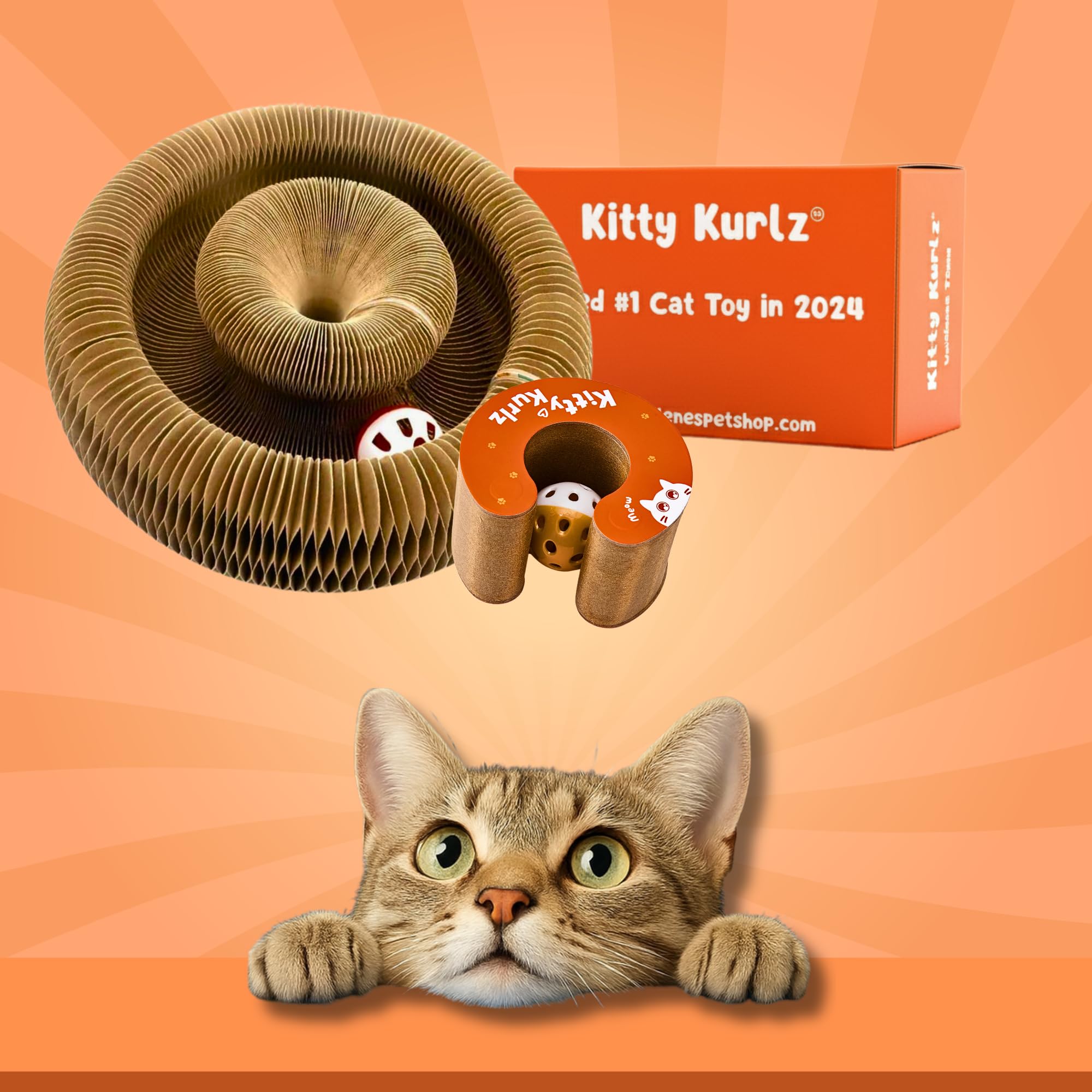 Kitty Kurlz, pista de bola con campana para seguimiento constante del juego.