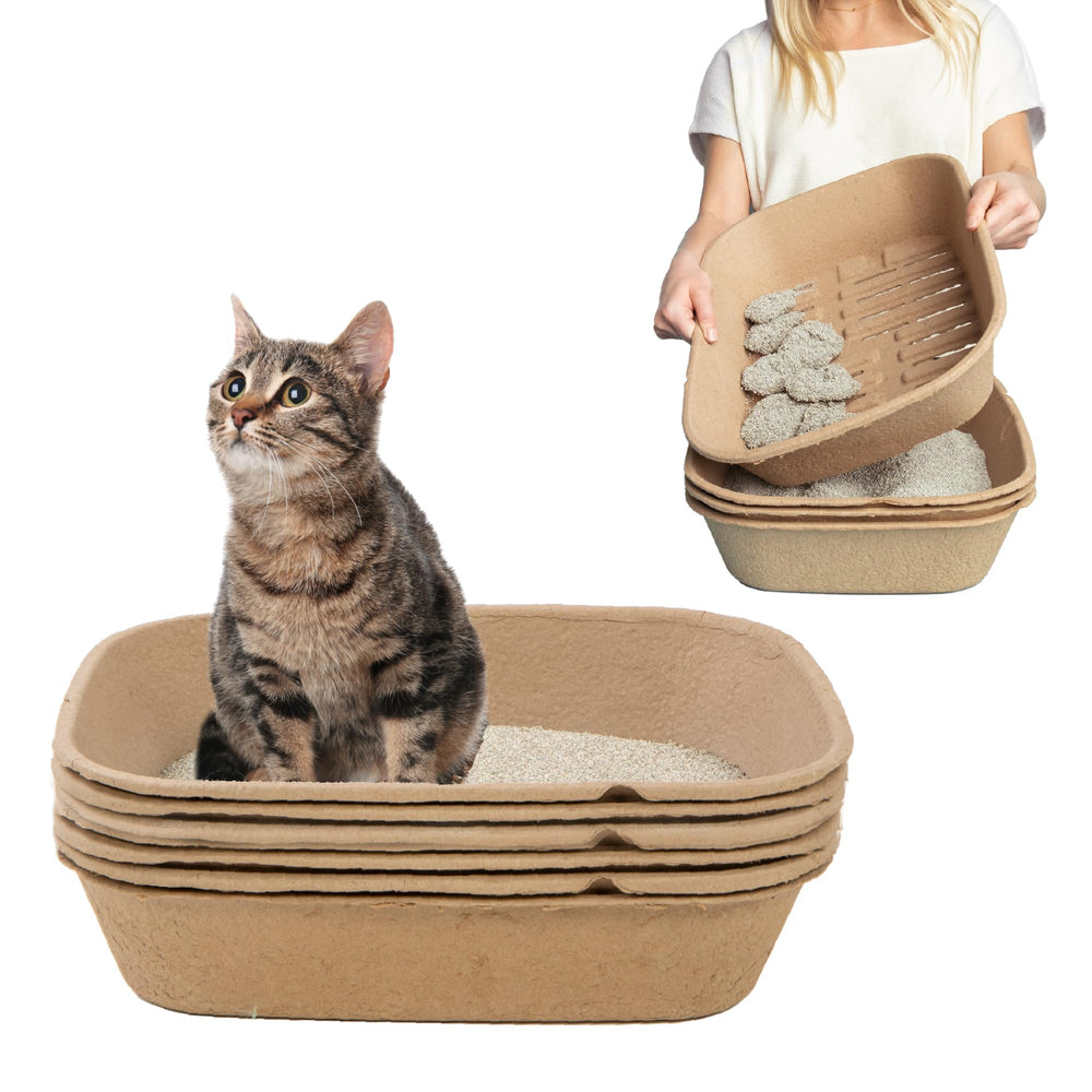 Kitty Sift base resistente para uso diario en casa.