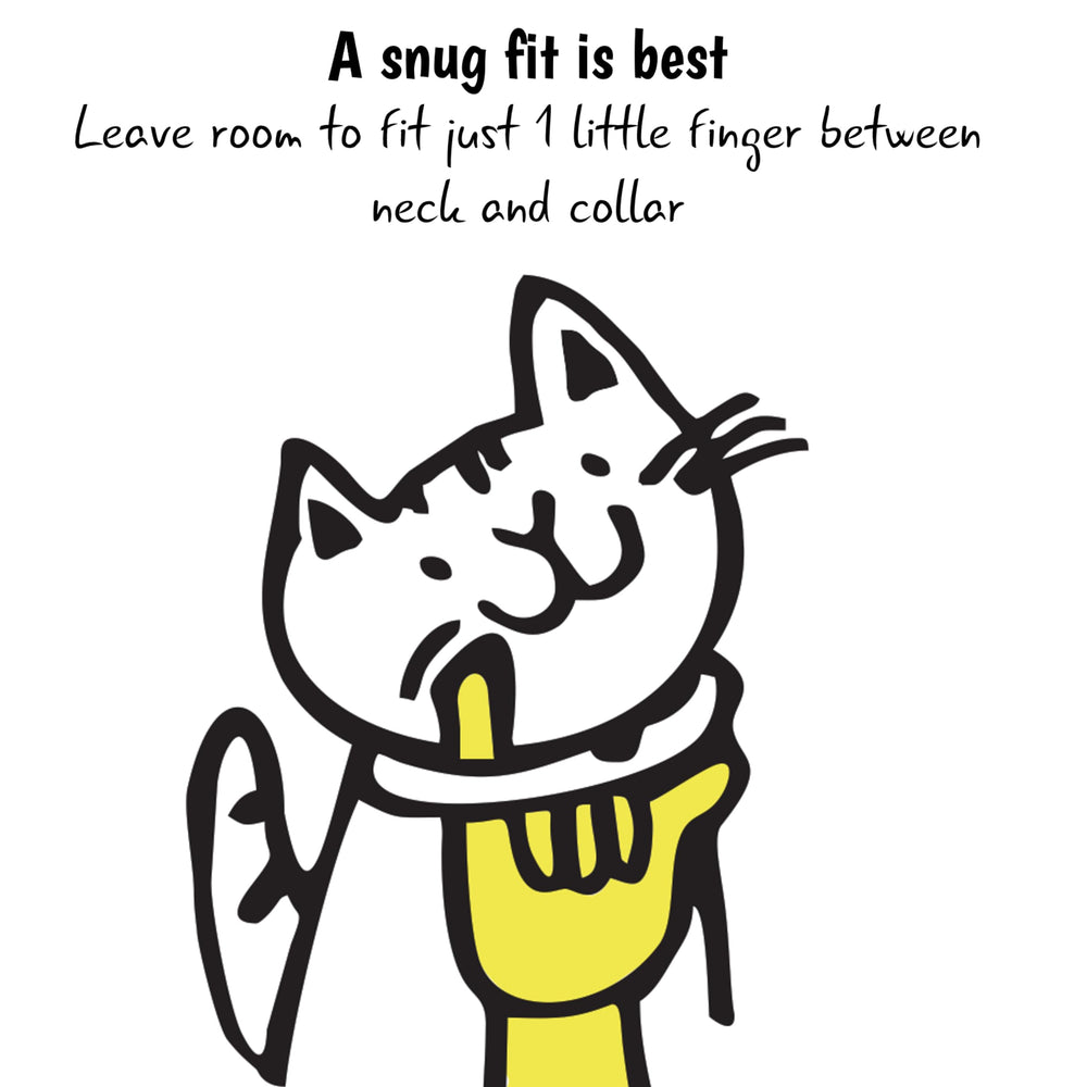 Kittyrama collar Tangerine diseño-para-mascotas-activas, ideal para juego