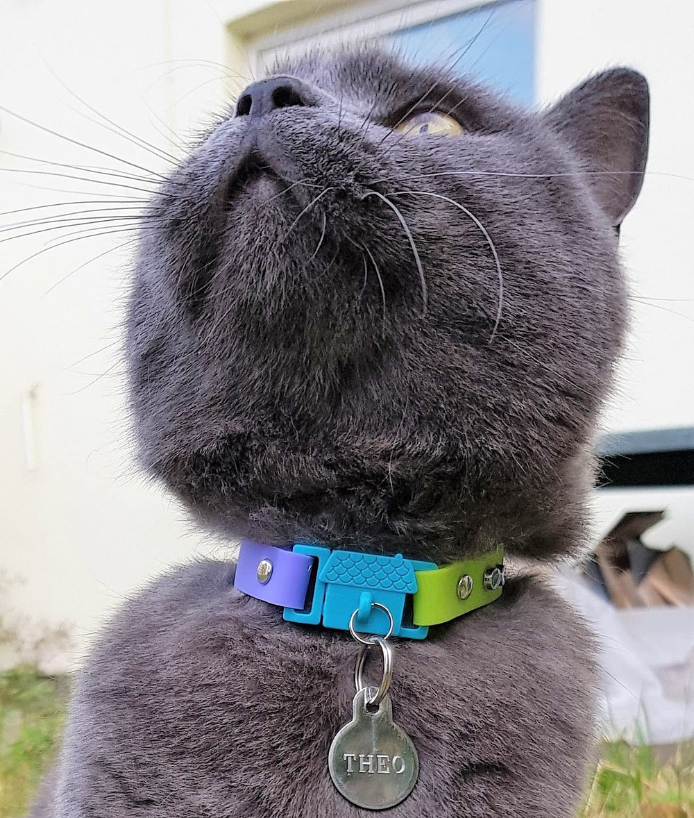 Kittyrama collar hipoalergenico, ayuda a minimizar irritaciones en el cuello.