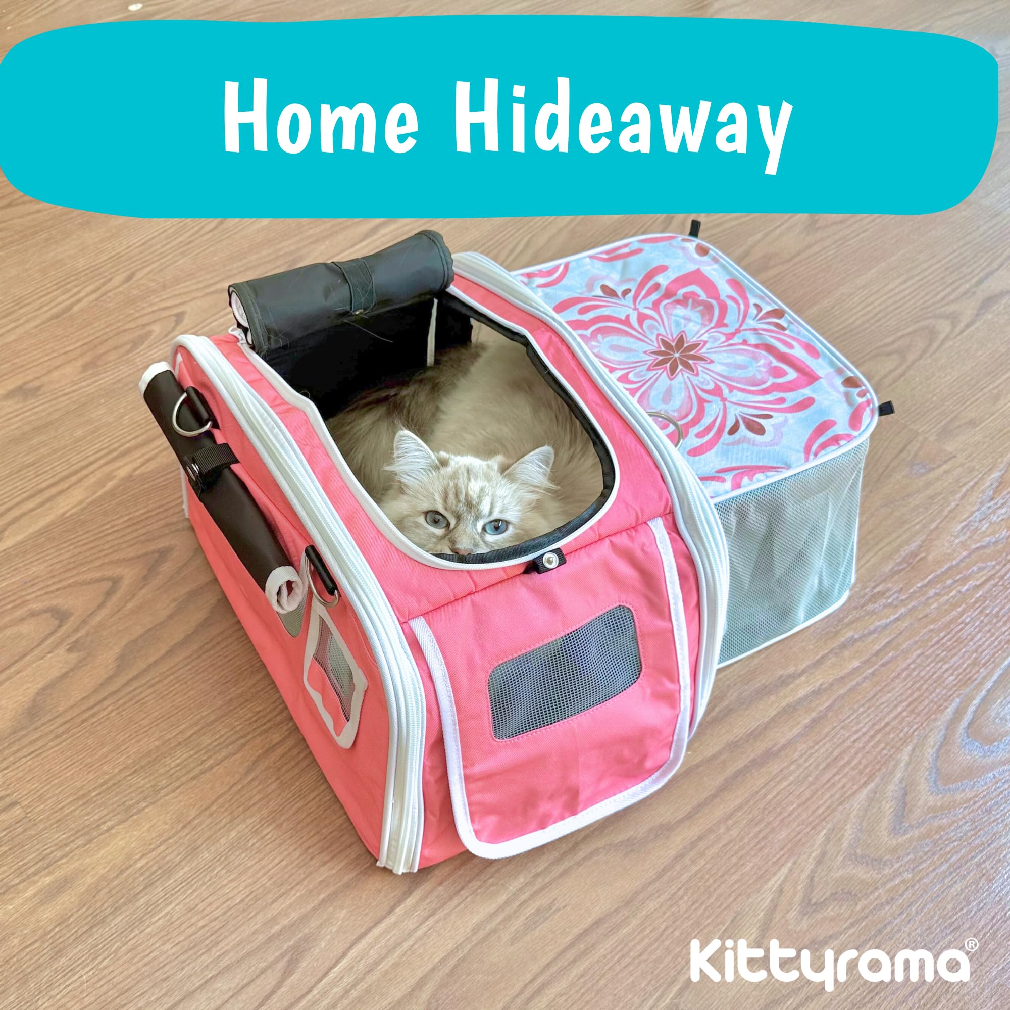 Kittyrama acceso 4 vías para entrar y salir con facilidad