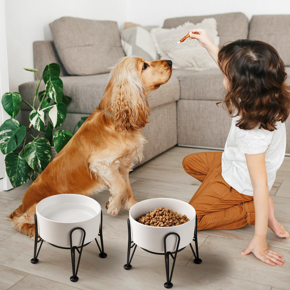 Kitwinney conjunto elevación para perros medianos, altura ergonómica para comodidad.