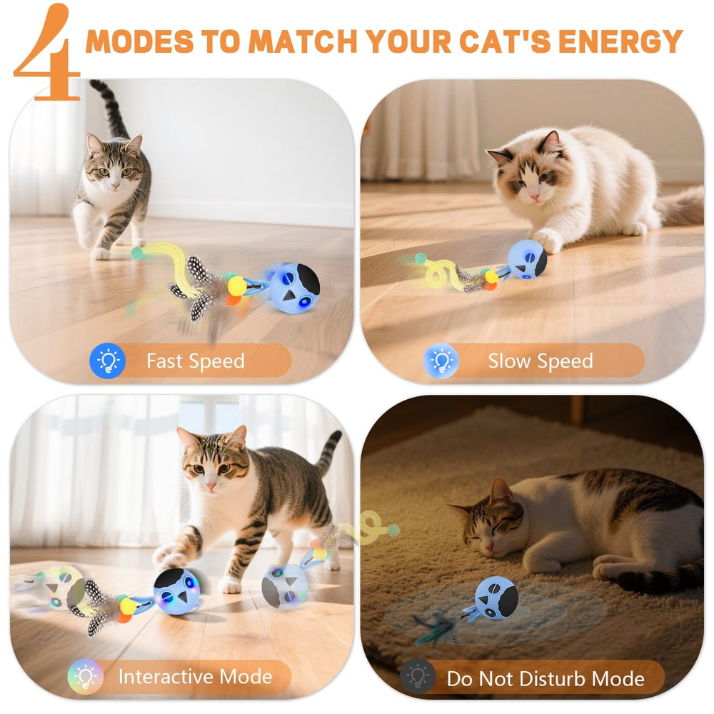 KiwiLove juguete con sonido y LED atrae al gato y estimula la curiosidad.