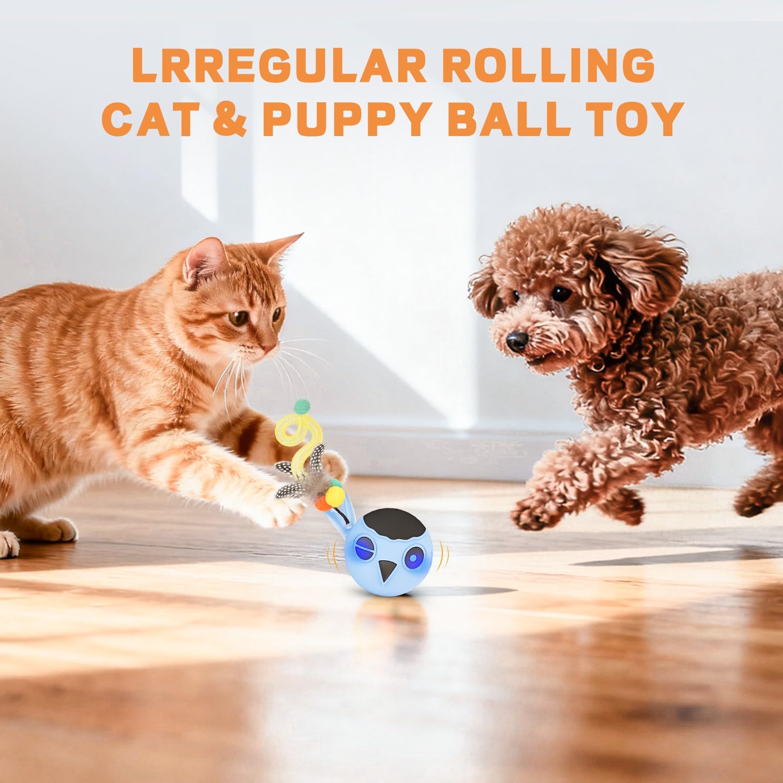 KiwiLove juguete ideal para mantener al gato activo y entretenido durante el día.