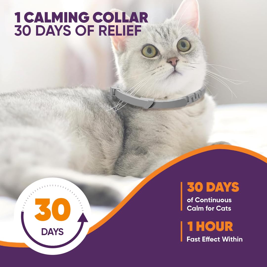 El collar Klioak resiste humedad, permitiendo uso durante el lavado sin irritar la piel.