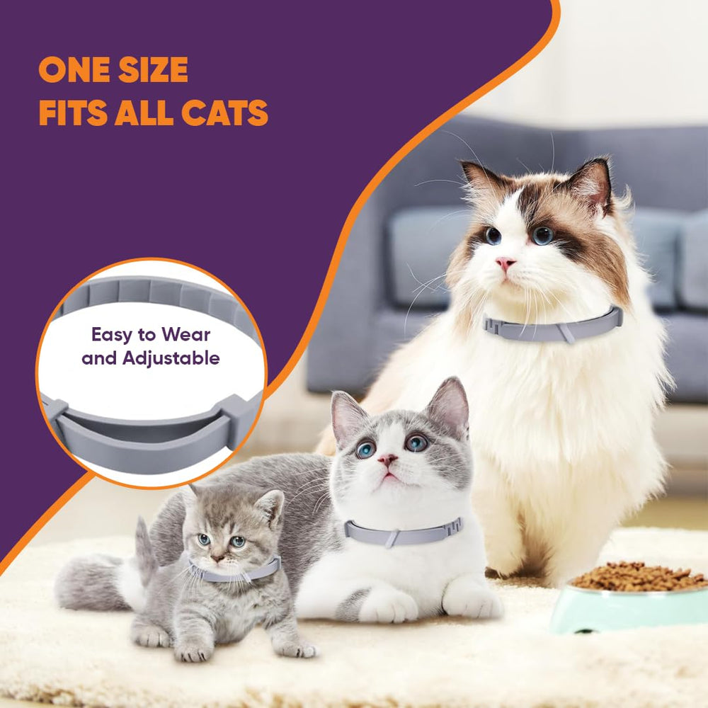 Empaque Klioak con pack de 6, listo para distribución entre varios gatos.