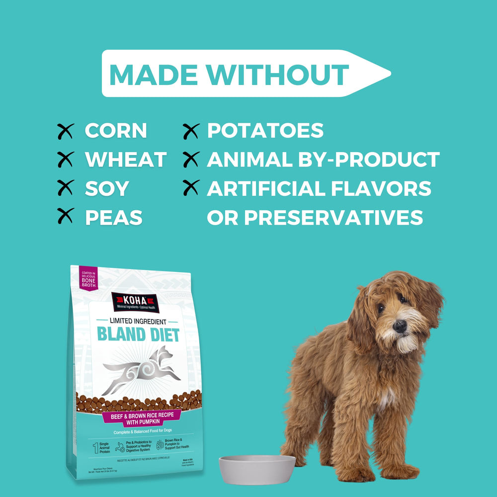 KOHA caldo de huesos por bocado: sabor irresistible para perros.