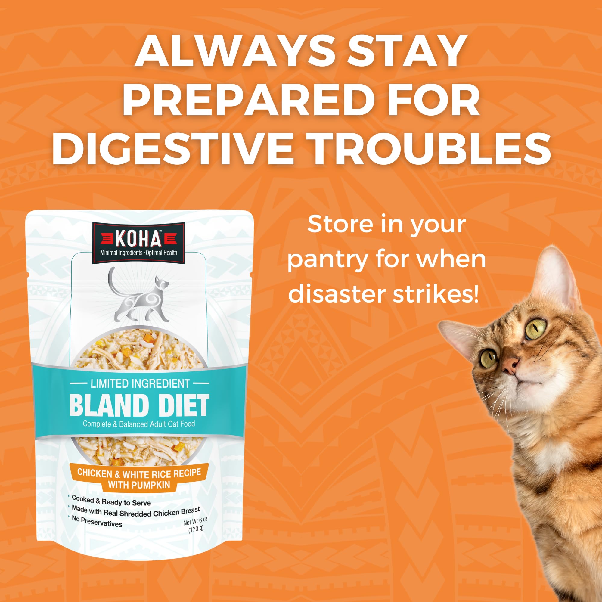 KOHA Gato Dieta Blanda: servir en plato con textura suave