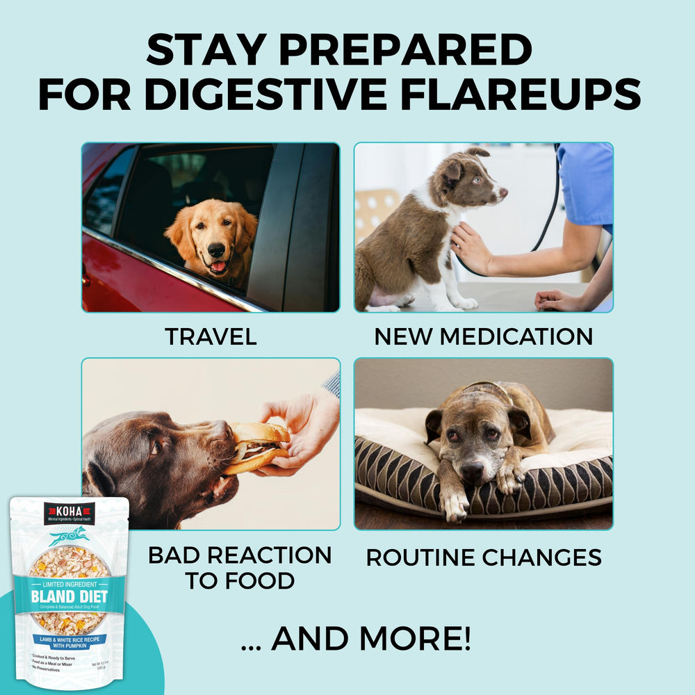 KOHA pack de seis latas para suministro estable