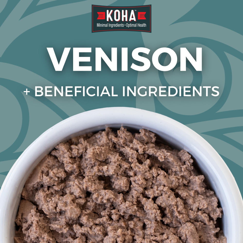 KOHA Paté de Venado para Gatos con calabaza, apoyo digestivo