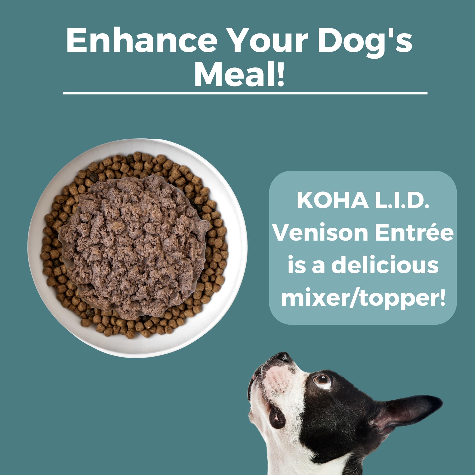 KOHA Venison Entrée húmeda y alta proteína para energía.