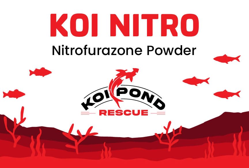 KOI NITRO aplicación en acuario durante el tratamiento.