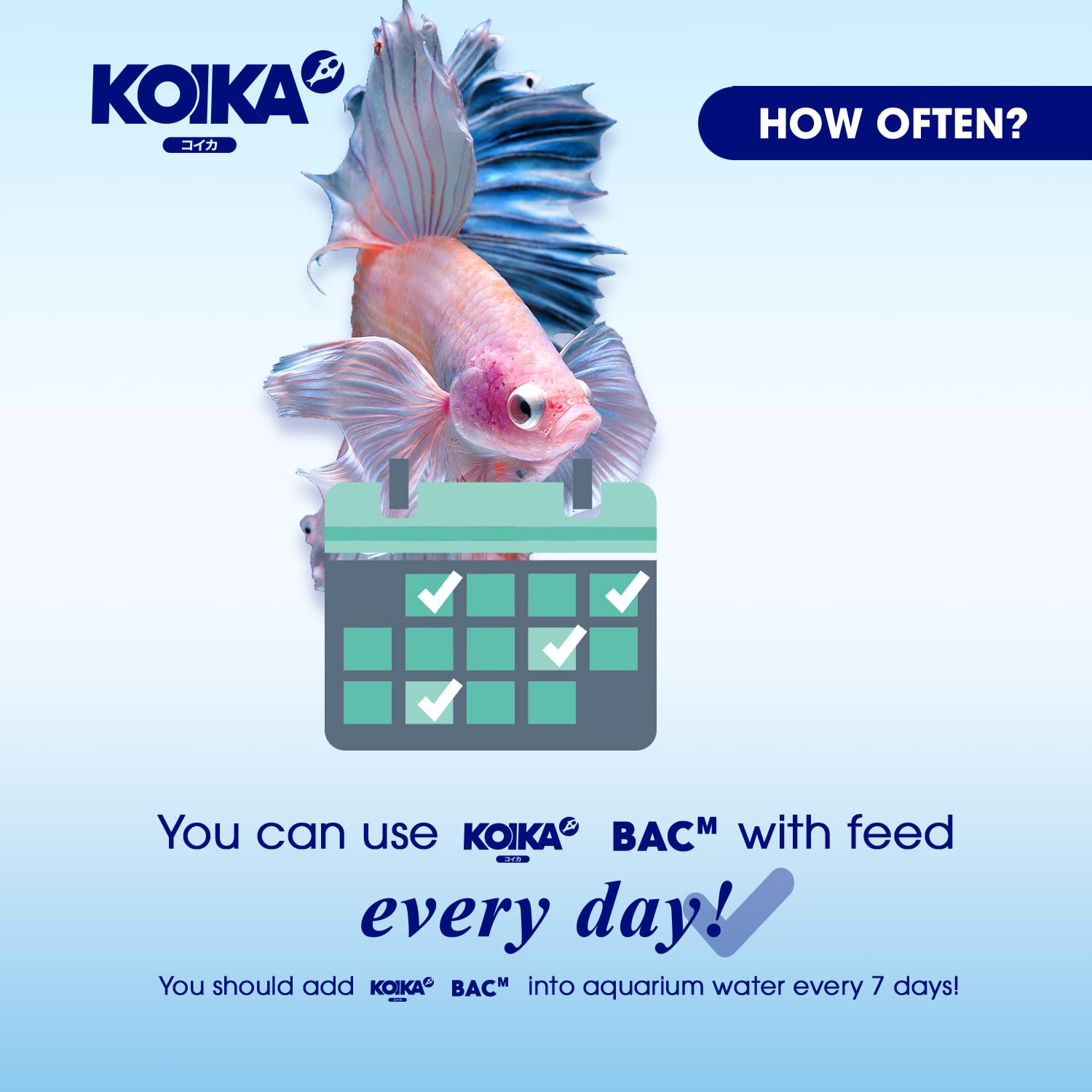 KOIKA BACM en alimento incrementa microorganismos beneficiosos para la salud de peces