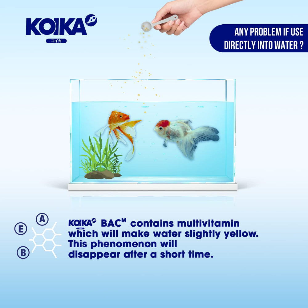 KOIKA BACM mejora la claridad del agua y entorno del acuario