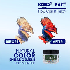KOIKA BACM vitaminas A, B6 y B2 para crecimiento óptimo de peces