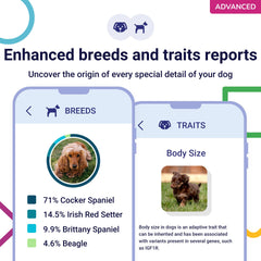Koko Genetics indica posibles portadores de condiciones genéticas para cuidado informado