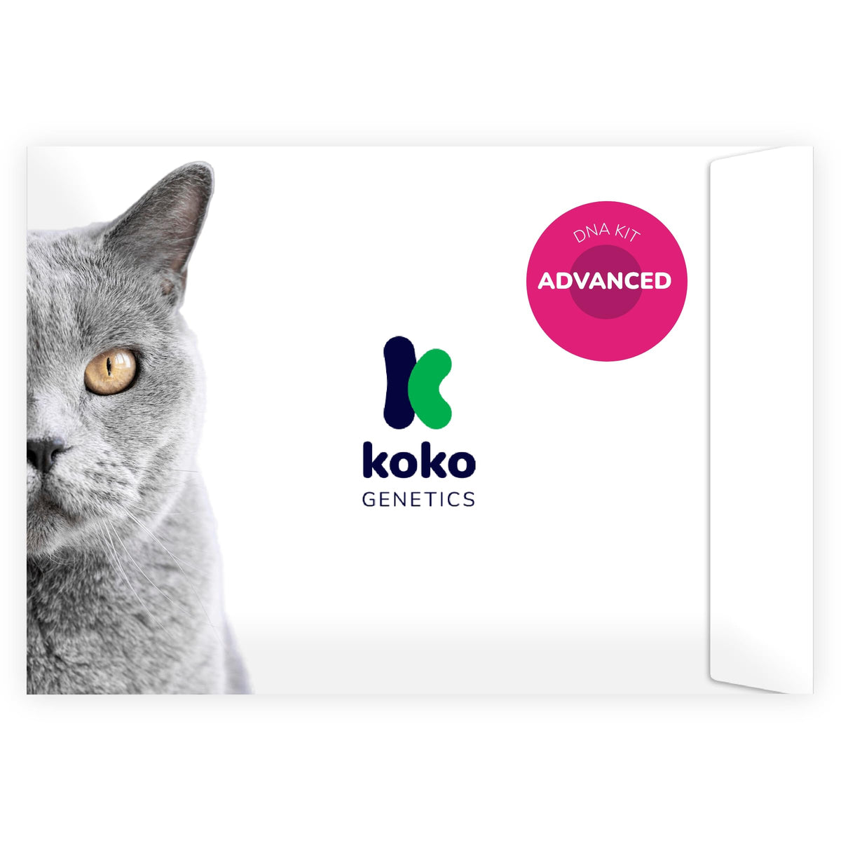 Koko Genetics: prueba de ADN avanzada para gatos, kit de recolección sencillo.
