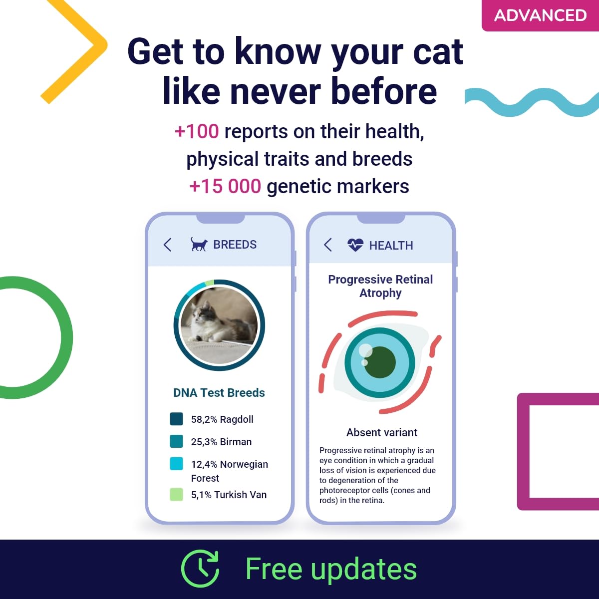 Koko Genetics: muestra de saliva para análisis genético del gato.