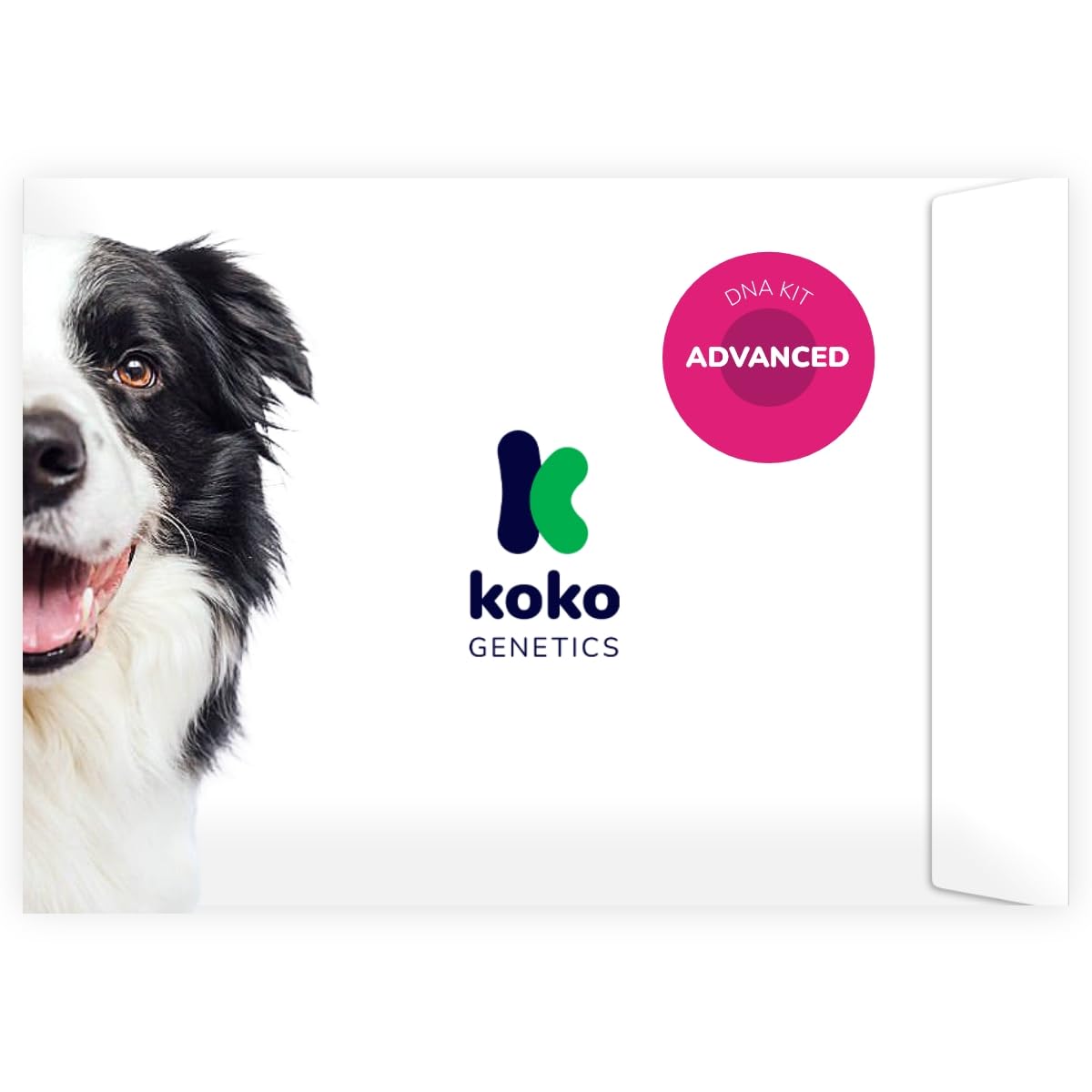 Prueba de ADN avanzada de Koko Genetics revela mezcla de razas de tu perro