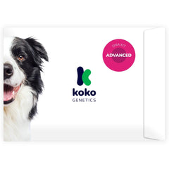 Prueba de ADN avanzada de Koko Genetics revela mezcla de razas de tu perro
