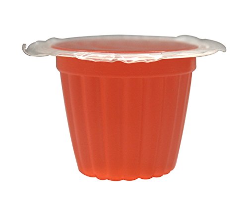 Komodo Jelly Pots En jaula de insectos, ofrece hidratación