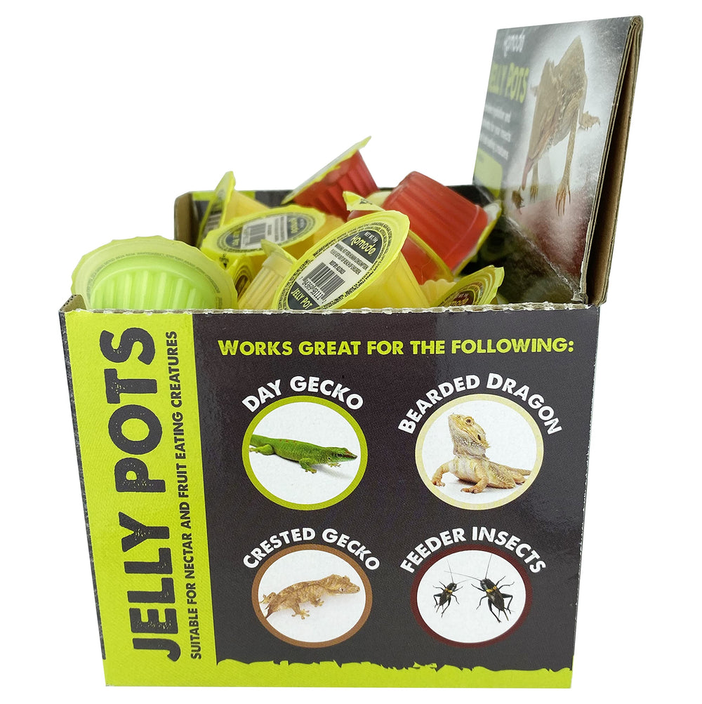 Komodo Jelly Pots Sabor Melón, porciones listas para insectos