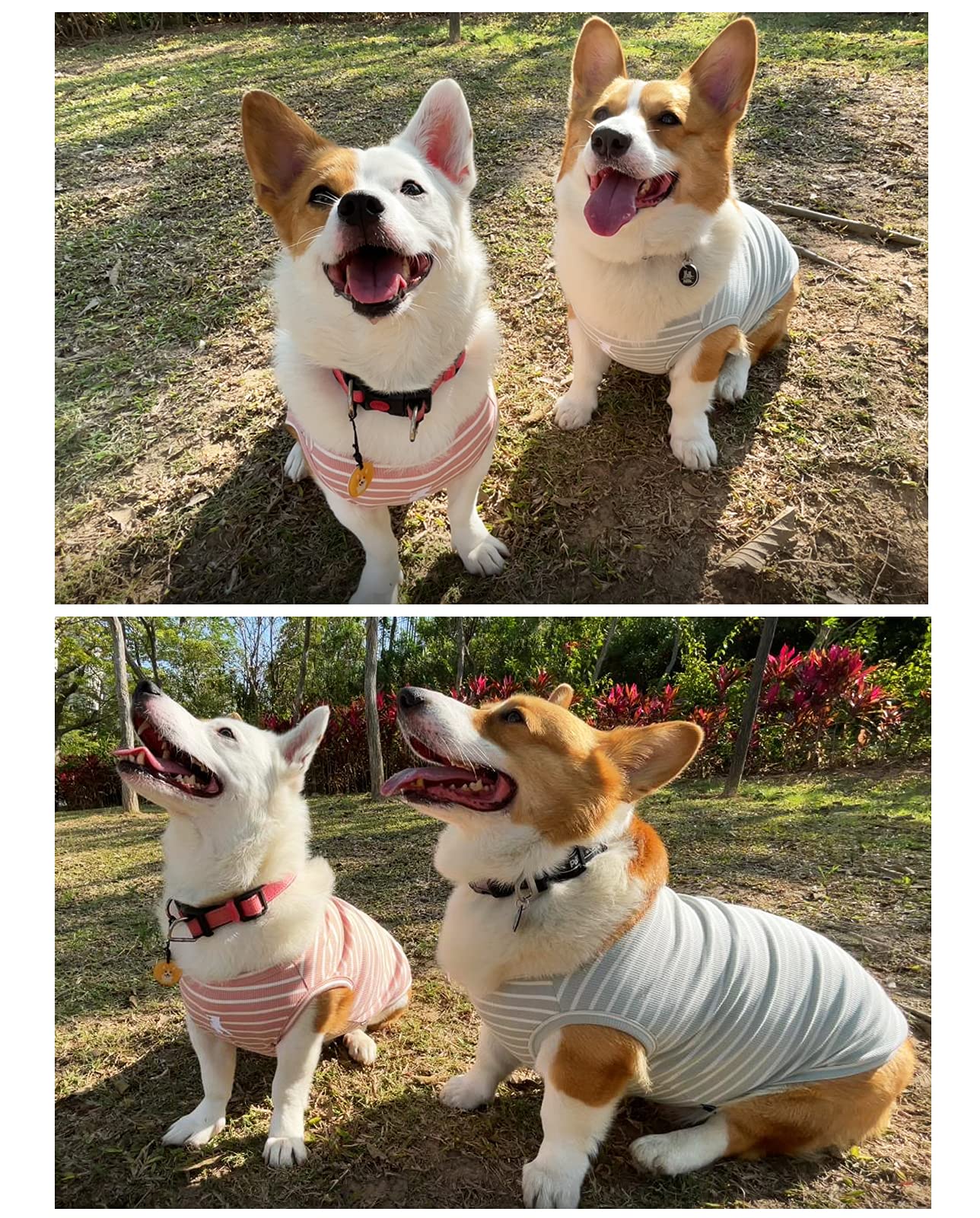 Koneseve camiseta perro, cuidado lavado rápido, facilita mantenimiento y durabilidad.