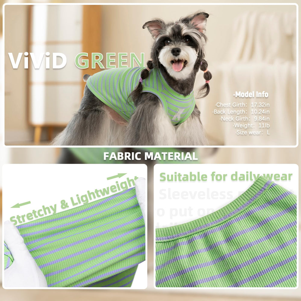 Colores morado y verde vibrante en Koneseve para perro.