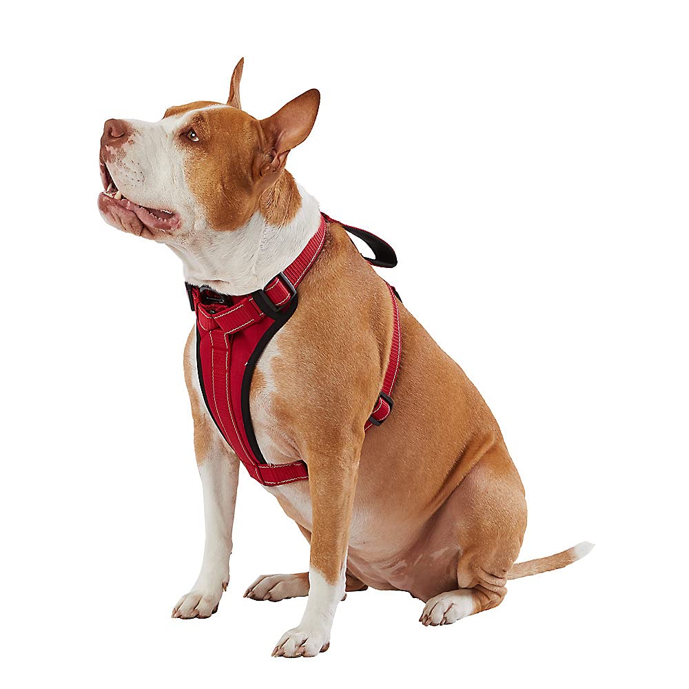 KONG arnés pecho neopreno rojo mediano, paseo seguro y cómodo.