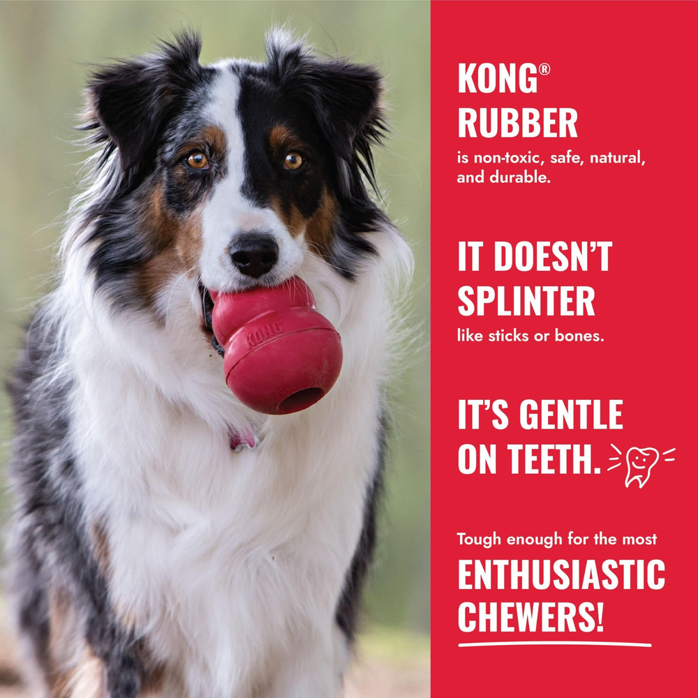 KONG Ball para perros grandes, tamaño adecuado.
