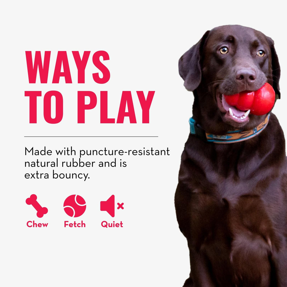 KONG Bola con Rebote Alto para perros activos en casa