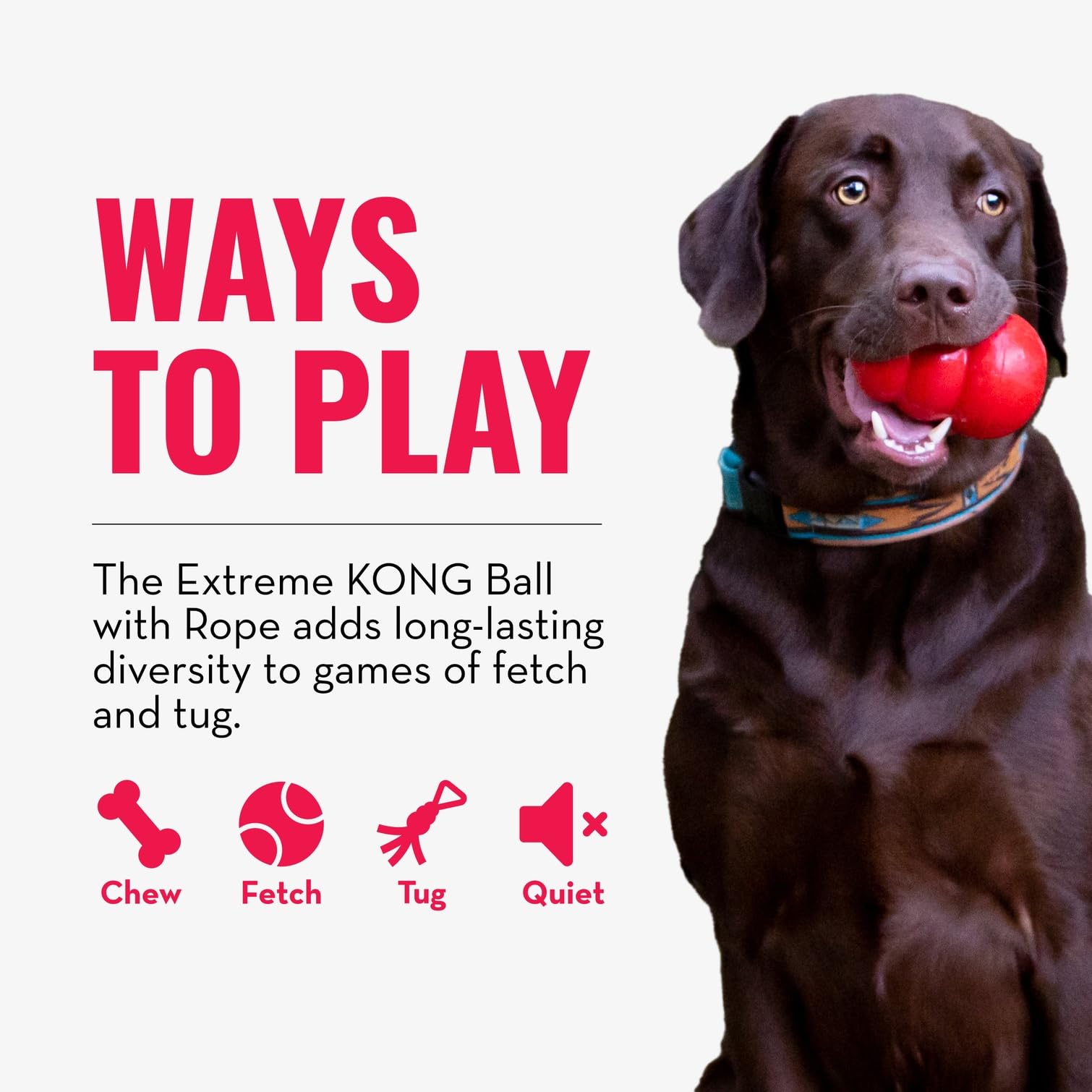 KONG bola extrema con cuerda ofrece juego mental y entretenimiento prolongado