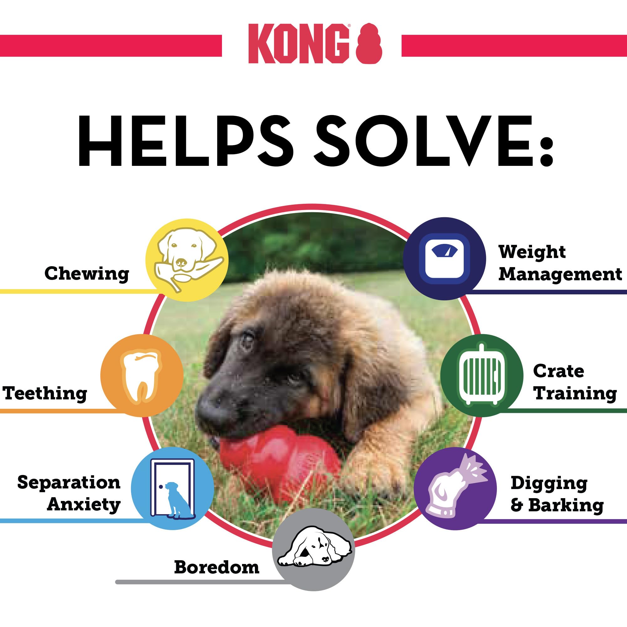 KONG Clásico: sólido y resistente, perfecto para perros grandes.