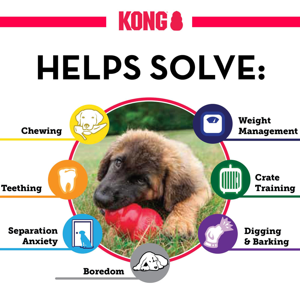 KONG Clásico: sólido y resistente, perfecto para perros grandes.