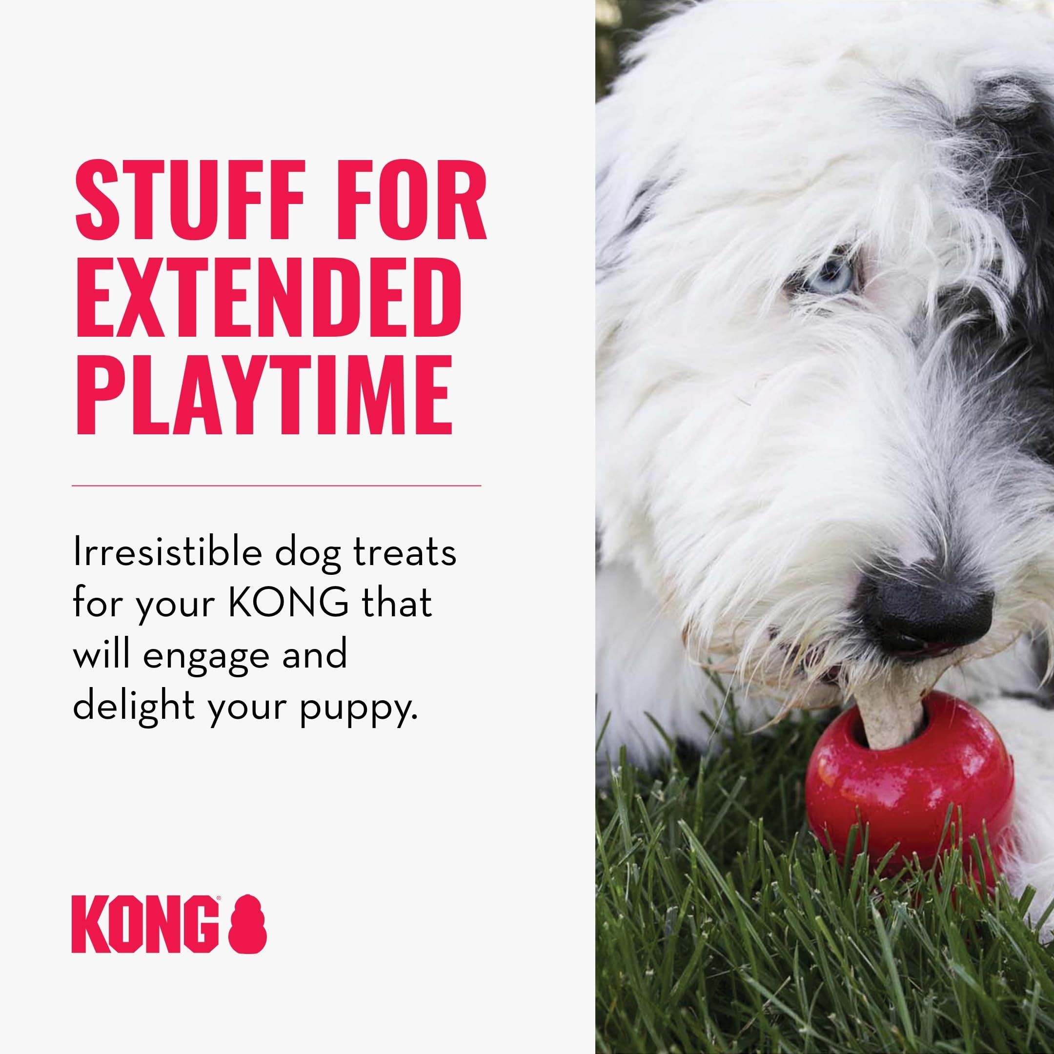 KONG Clásico lleno de Ziggies para juego prolongado