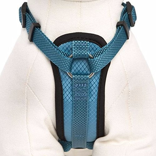 KONG arnés acolchado azul, ajuste cómodo, ideal para rutas largas con perro.