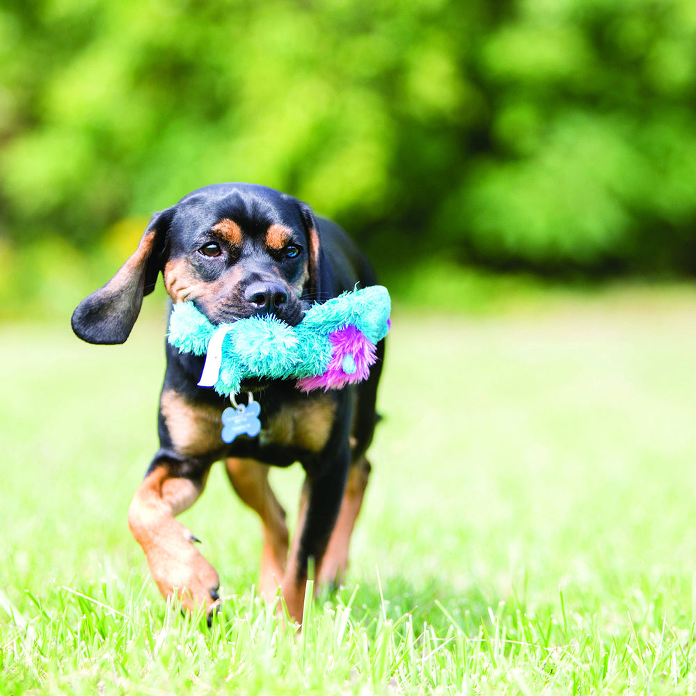 KONG Cozie Baily, tejido suave, apto para paseos cortos y juegos de buscar.
