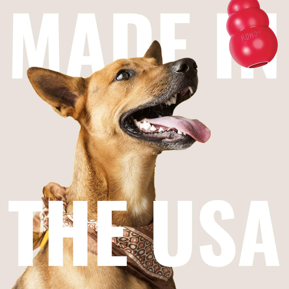 KONG Extreme Ball para perros pequeños, tamaño adecuado para hocico.