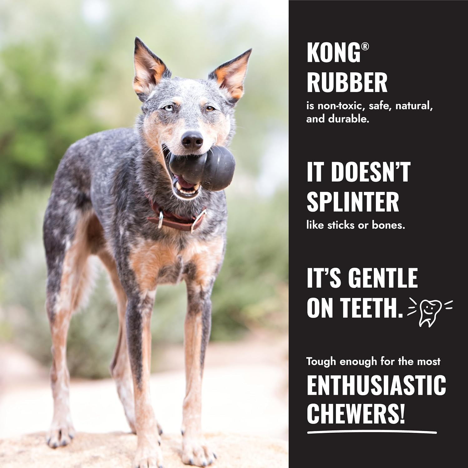 KONG Extreme Donut, apto para perros de distintos tamaños para masticadores intensos.