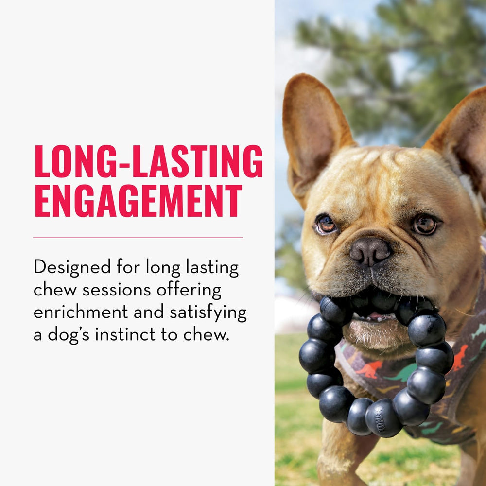 KONG Extreme Ring en uso para sesiones de masticación prolongadas.