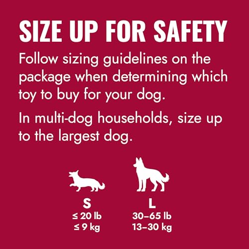KONG Flyer para perros, juego exterior que fomenta actividad y diversion.