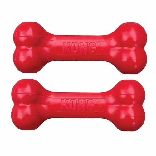KONG Goodie Bone, goma natural duradera, ideal para perros pequeños y masticación extendida.
