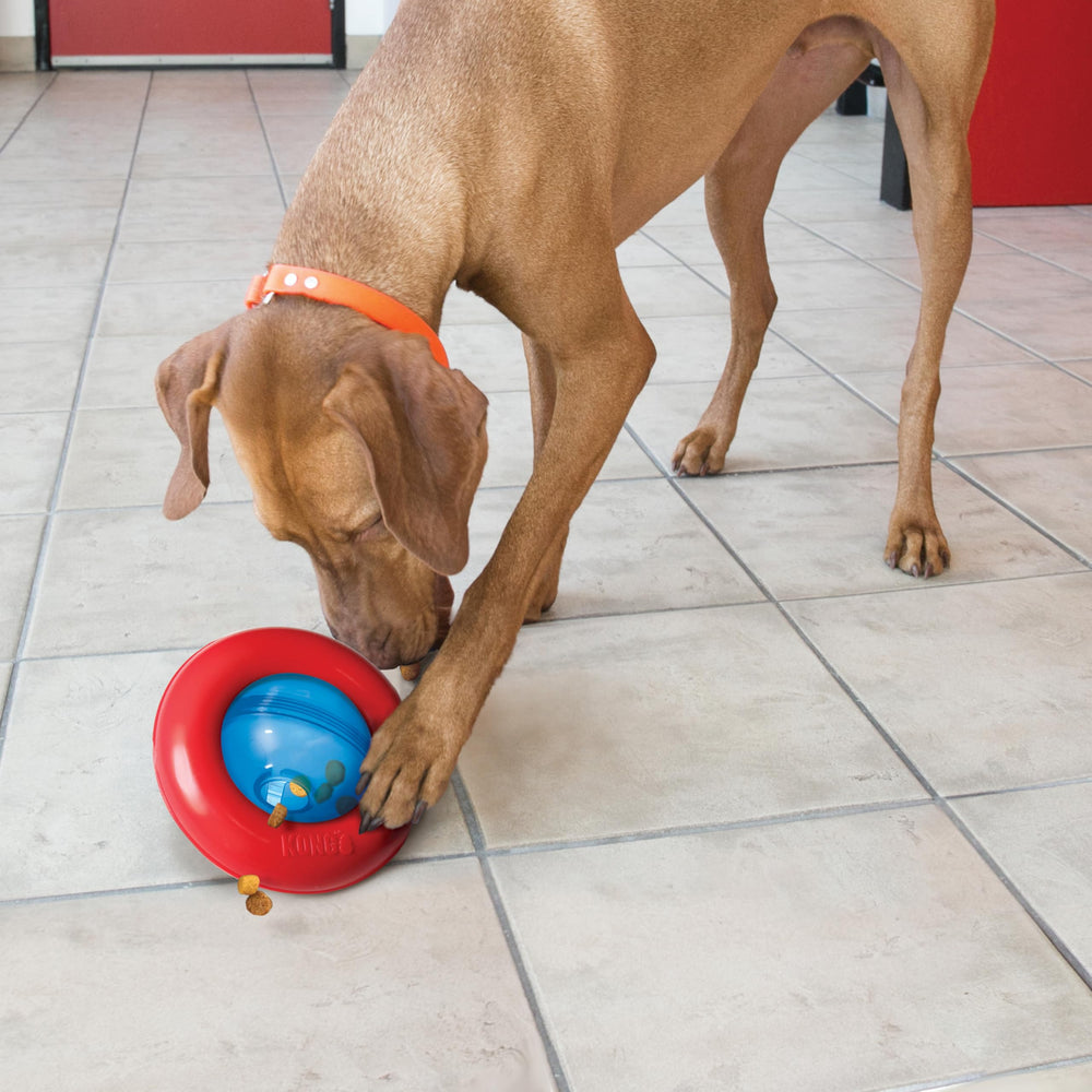 KONG Gyro, juego-independiente-para-perros-medianos-grandes, ideal para alimentación lenta.