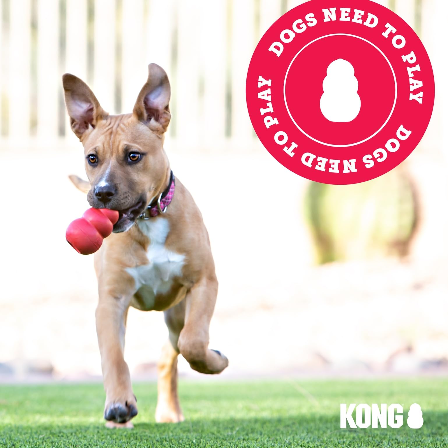 KONG Juguete Seguro para Cachorros, usar con supervisión