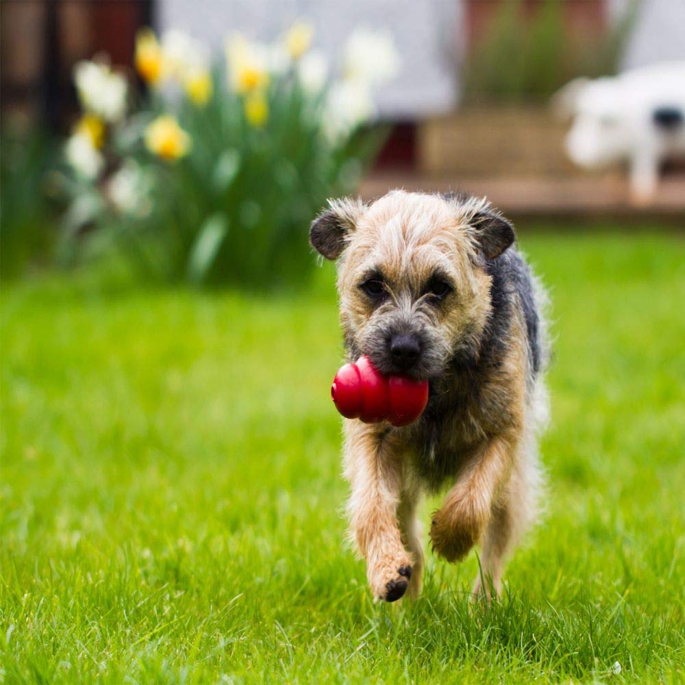 KONG juguete clasico para perro mediano rojo, perfecto para premiar y masticar
