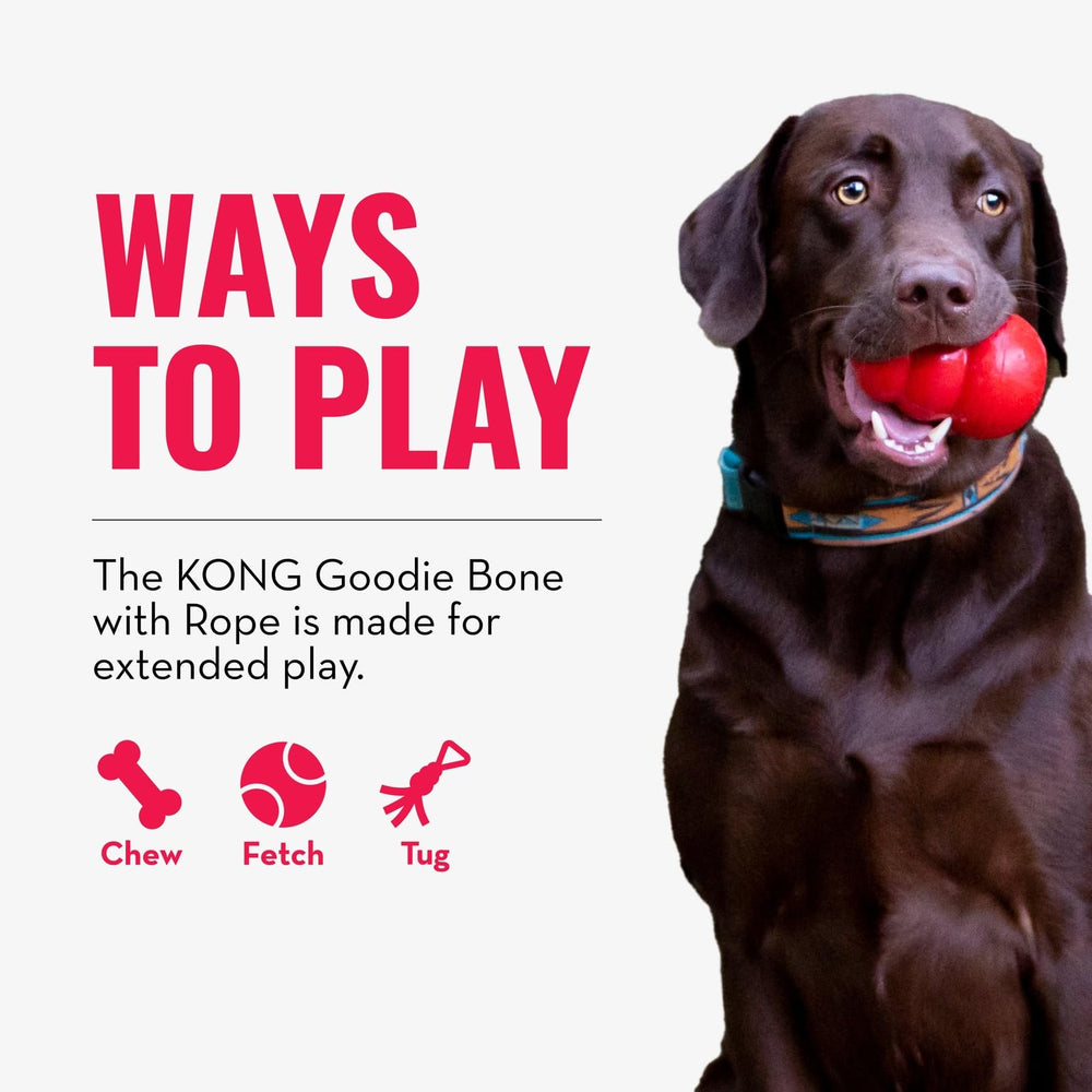 KONG juguete dental para cachorros, favorece la exploración de texturas