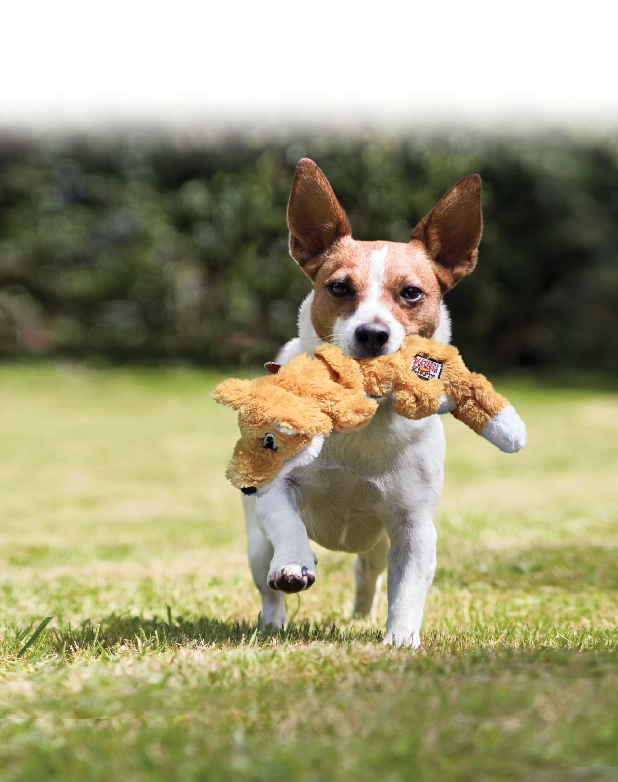 KONG Juguete para perros con movimiento natural para juego dinámico