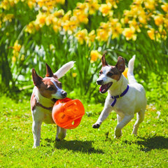 KONG Jumbler Ball: juguete con sonido para mantener a tu perro activo al aire libre.